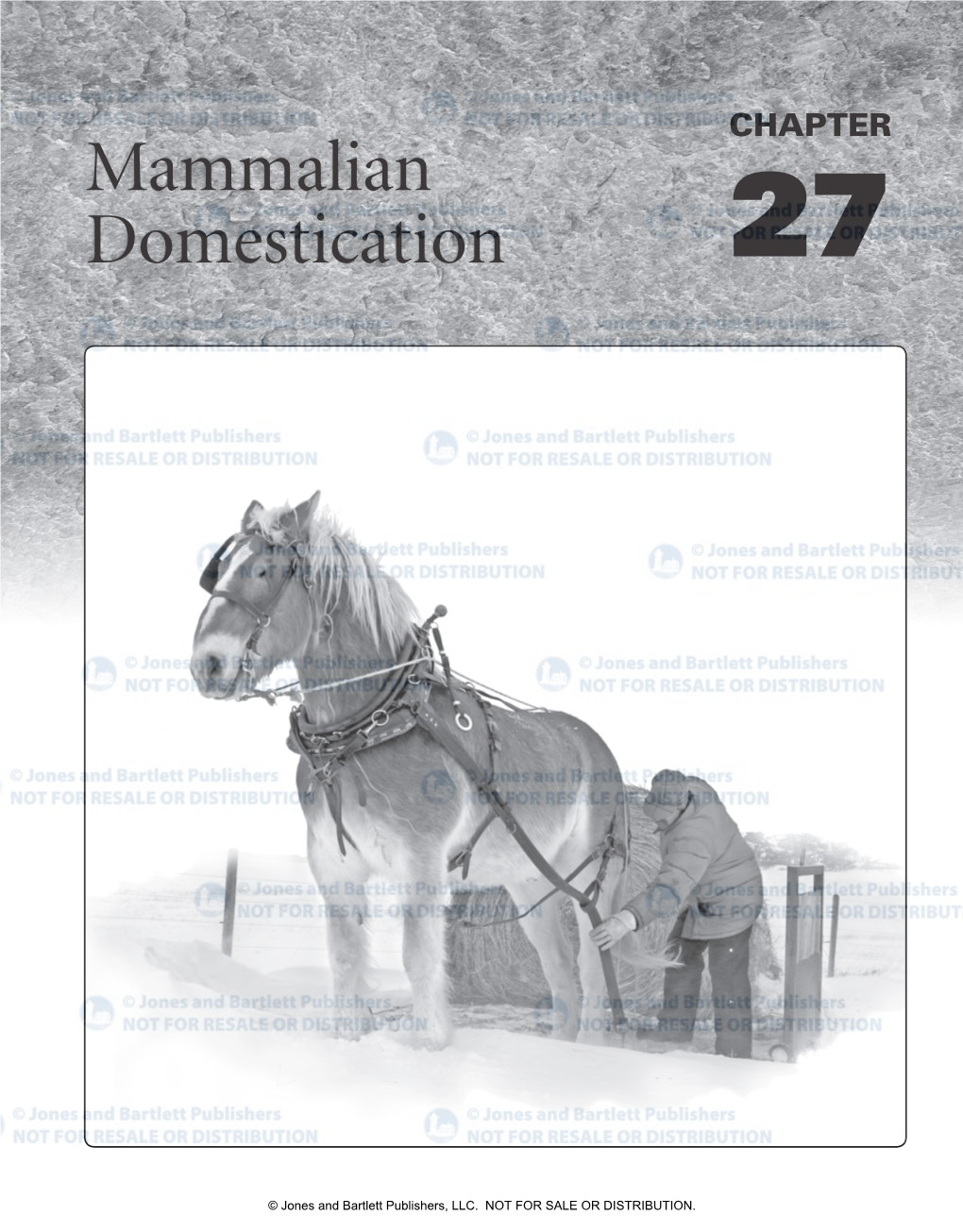 Mammalian Domestication 27
