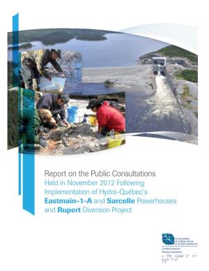 Report on the Public Consultations