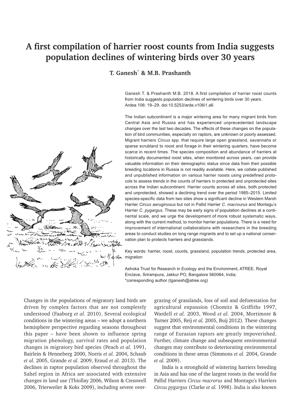 A First Compilation of Harrier Roost Counts from India Suggests Population Declines of Wintering Birds Over 30 Years