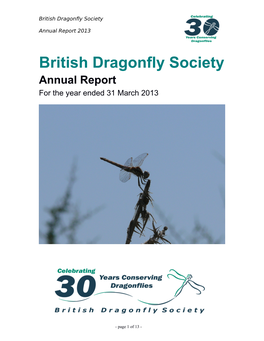 BDS Annual Report 2013