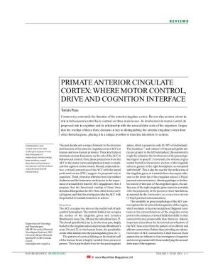Primate Anterior Cingulate Cortex: Where Motor Control Drive And
