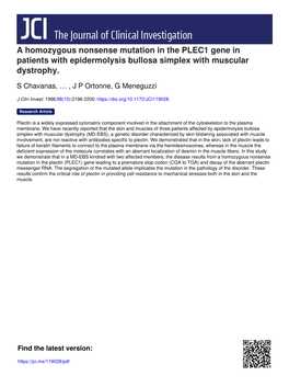 A Homozygous Nonsense Mutation in the PLEC1 Gene in Patients with Epidermolysis Bullosa Simplex with Muscular Dystrophy