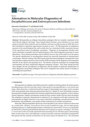 Alternatives in Molecular Diagnostics of Encephalitozoon and Enterocytozoon Infections