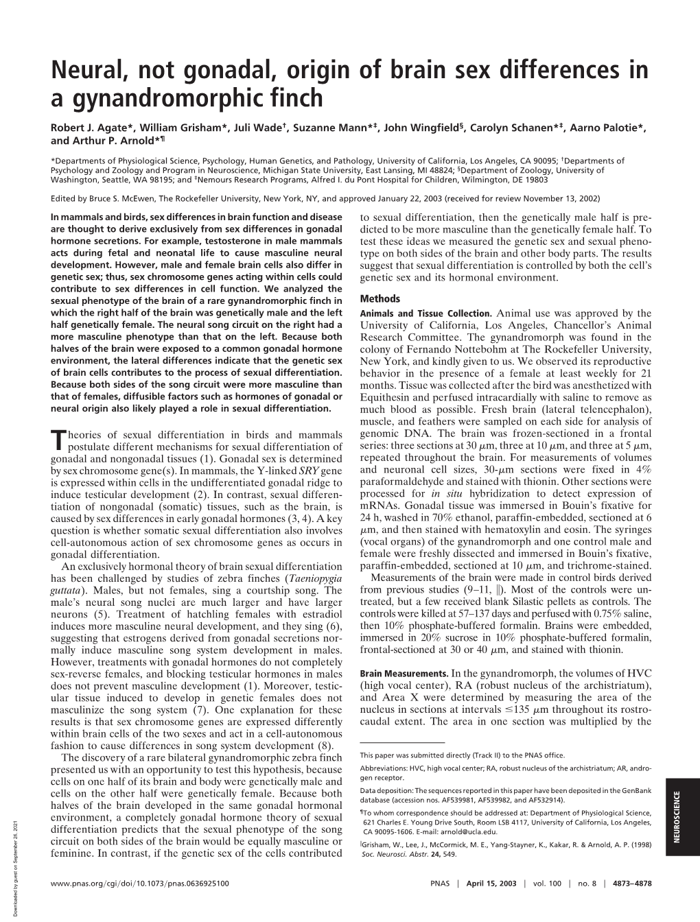 Neural, Not Gonadal, Origin of Brain Sex Differences in a Gynandromorphic Finch