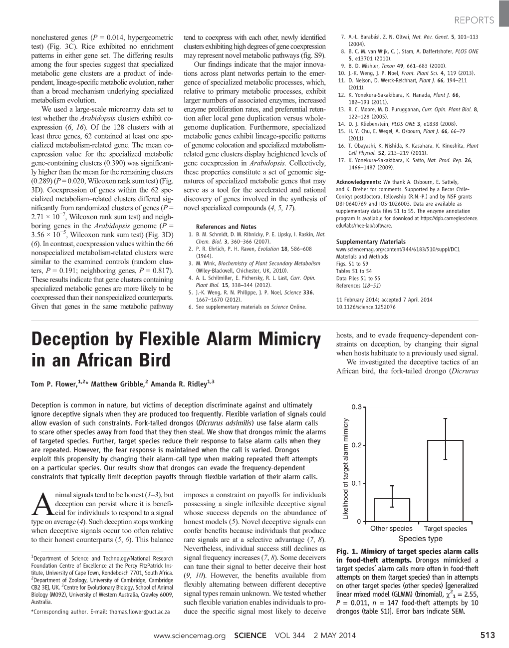 Flower Et Al 2014 Flexible Alarm Mimicry in Drongos