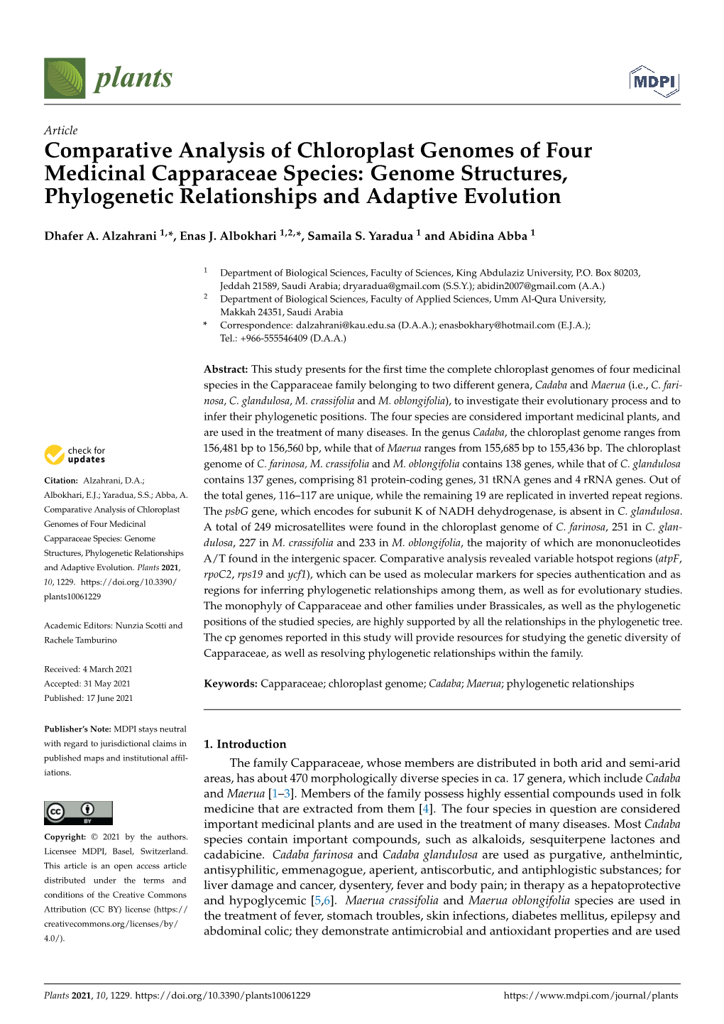 Genome Structures, Phylogenetic Relationships and Adaptive Evolution