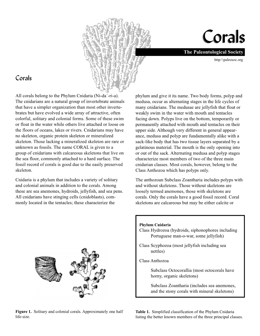 Coralscorals the Paleontological Society Http:\\Paleosoc.Org