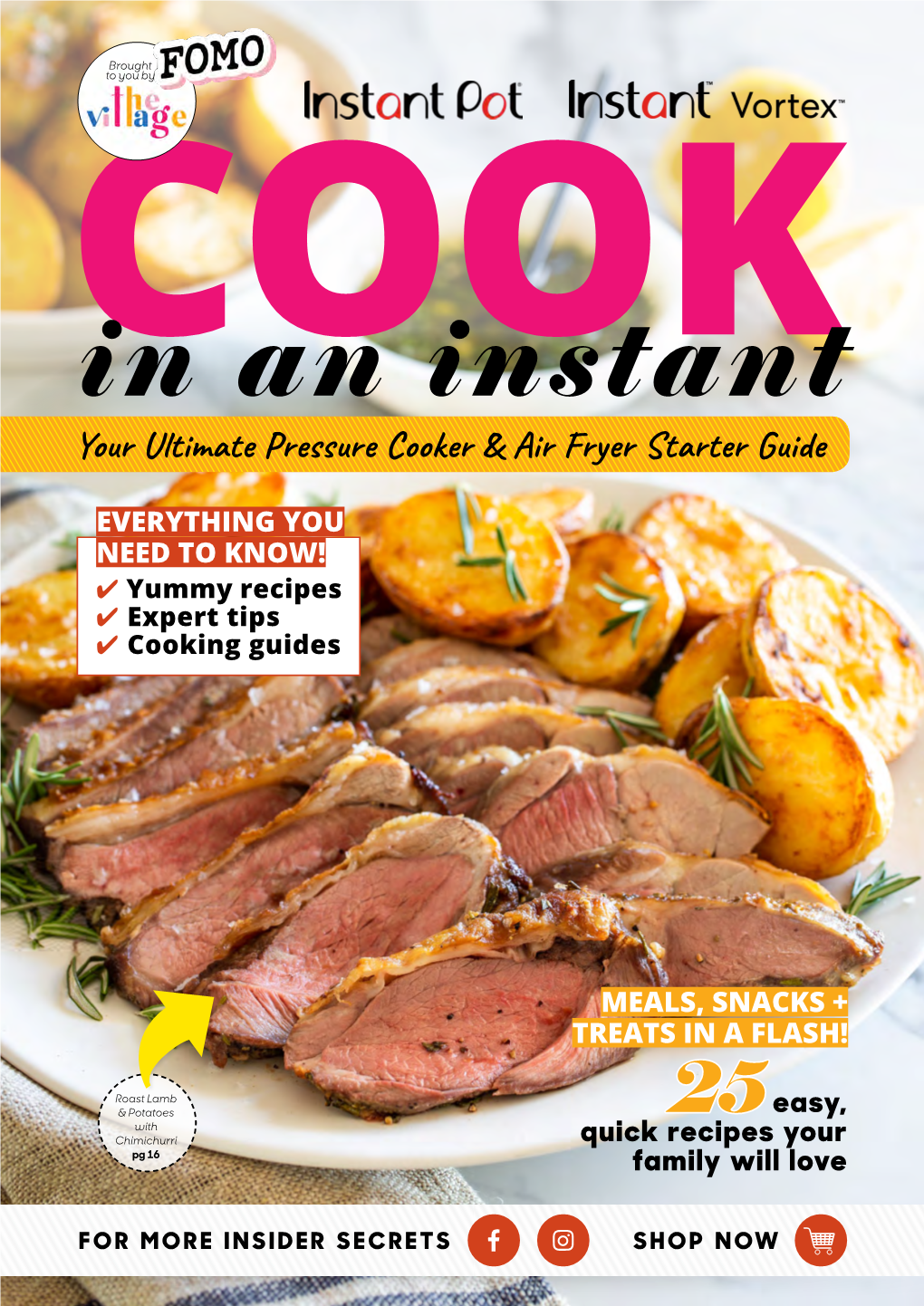 In an Instant Your Ultimate Pressure Cooker & Air Fryer Starter Guide