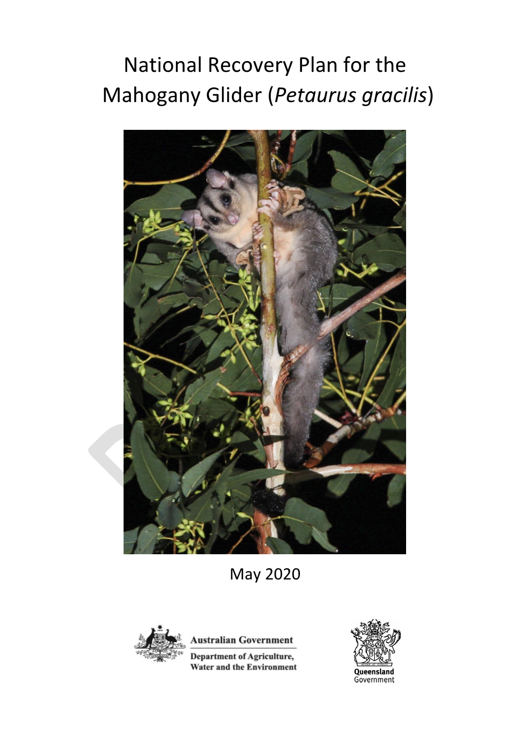 Draft National Recovery Plan for the Mahogany Glider (Petaurus Gracilis)