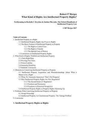 Robert P Merges What Kind of Rights Are Intellectual Property Rights?