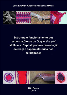 Mollusca: Cephalopoda) E Reavaliação Da Reação Espermatofórica Dos Cefalópodes