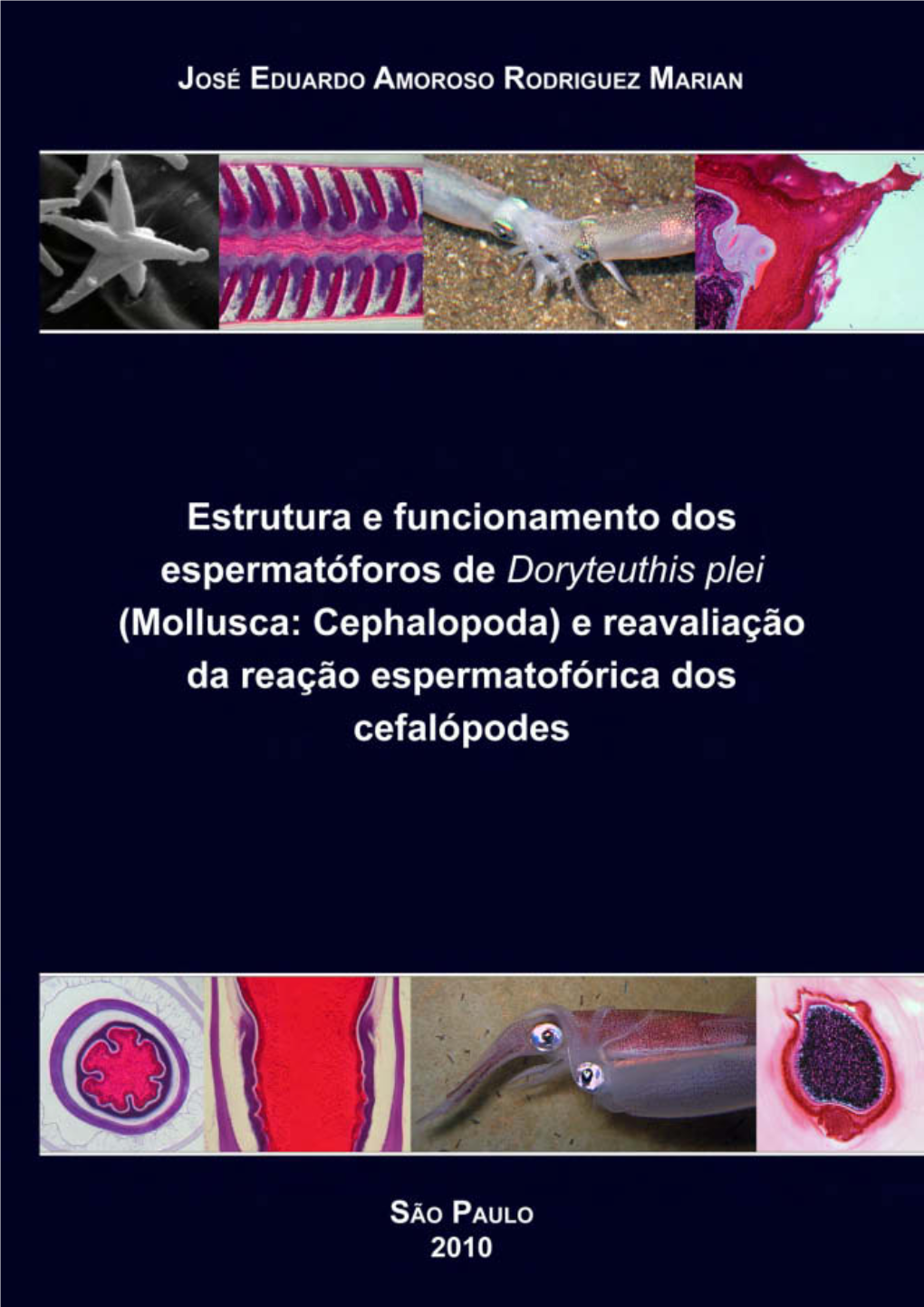 Mollusca: Cephalopoda) E Reavaliação Da Reação Espermatofórica Dos Cefalópodes