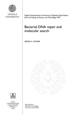 Bacterial DNA Repair and Molecular Search