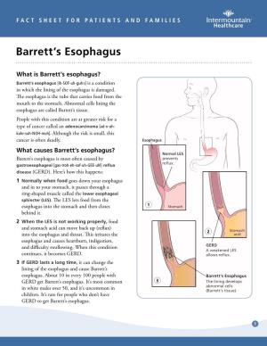 Barretts Esophagus Fact Sheet