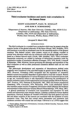 Third Trochanter Incidence and Metric Trait Covariation in the Human Femur SCOTT LOZANOFF*, PAUL W. Sciullit and KIM N. SCHNEIDE