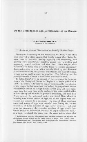 On the Reproduction and Development of the Conger