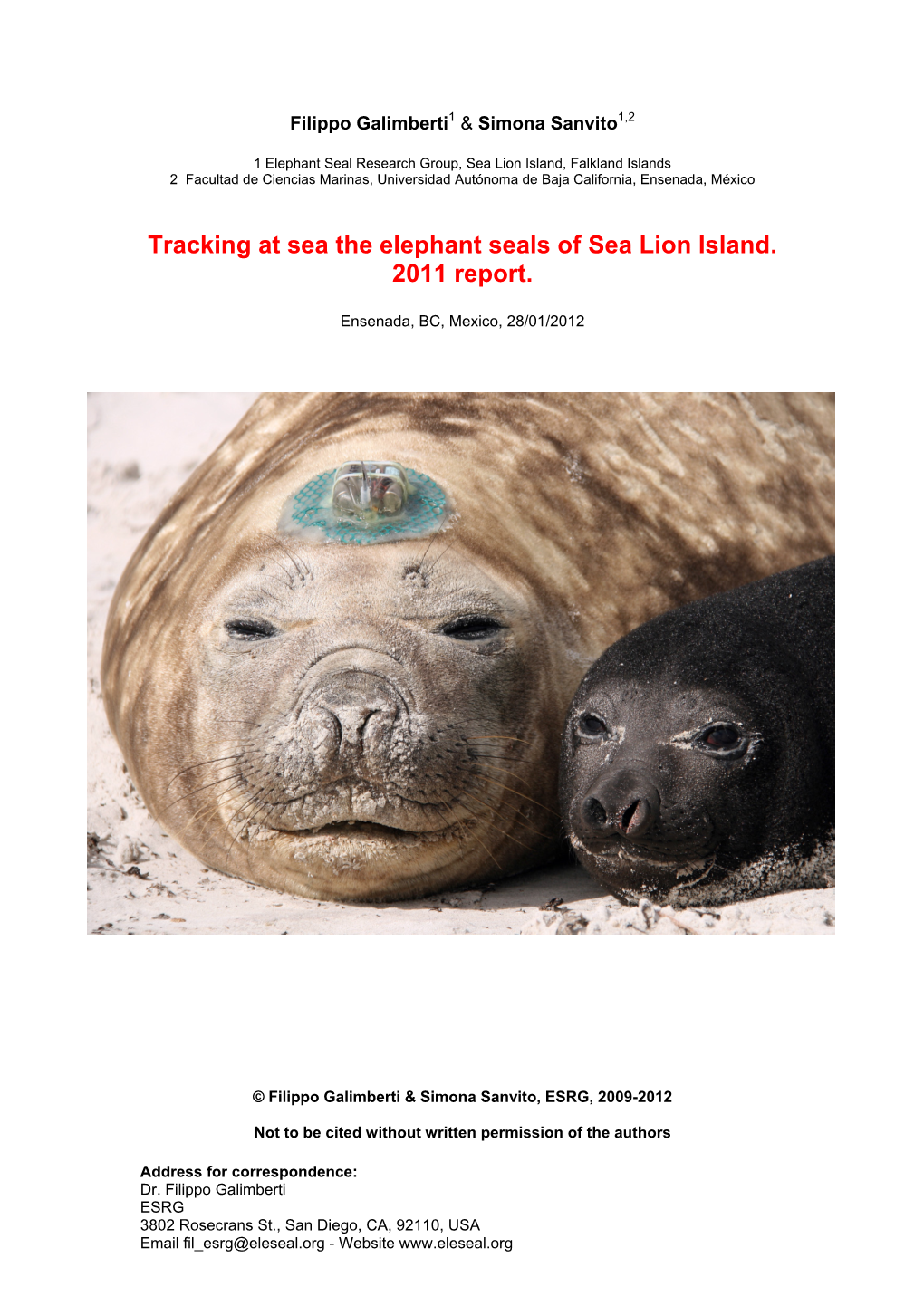 Deployment of Satellite Tags on Elephant Seals of Sea Lion Island