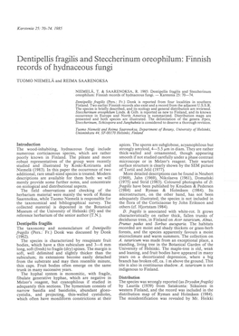 Dentipellis Fragilis and Steccherinum Oreophilum: Finnish Records of Hydnaceous Fungi