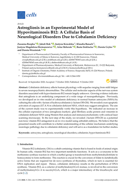 Astrogliosis in an Experimental Model of Hypovitaminosis B12: a Cellular Basis of Neurological Disorders Due to Cobalamin Deﬁciency