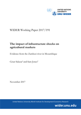 WIDER Working Paper 2017/191 the Impact of Infrastructure Shocks On