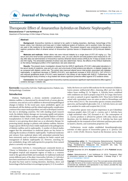 Therapeutic Effect of Amaranthus Hybridus on Diabetic Nephropathy