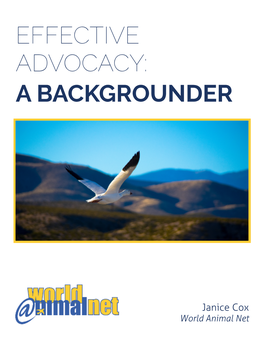Effective Advocacy: a Backgrounder