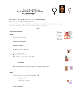 Female Genital System Basic Robbins Chapter 18, Pages 681-704 Big Robbins Chapter 22 M.E