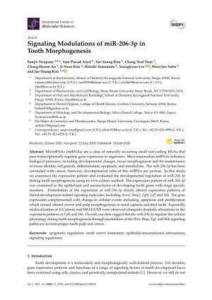 Signaling Modulations of Mir-206-3P in Tooth Morphogenesis