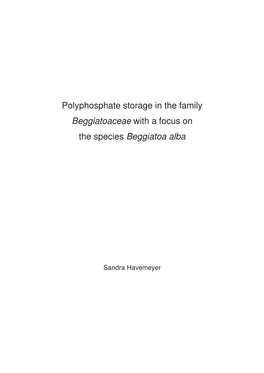 Polyphosphate Storage in the Family Beggiatoaceae with a Focus on the Species Beggiatoa Alba