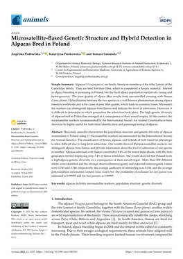 Microsatellite-Based Genetic Structure and Hybrid Detection in Alpacas Bred in Poland