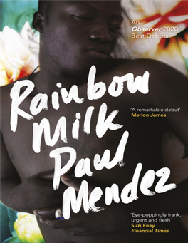 Rainbow Milk Is His First Novel