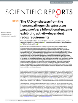The FAD Synthetase from the Human Pathogen Streptococcus Pneumoniae: a Bifunctional Enzyme Exhibiting Activity-Dependent Redox R