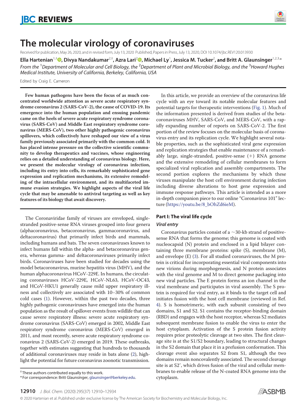 The Molecular Virology of Coronaviruses