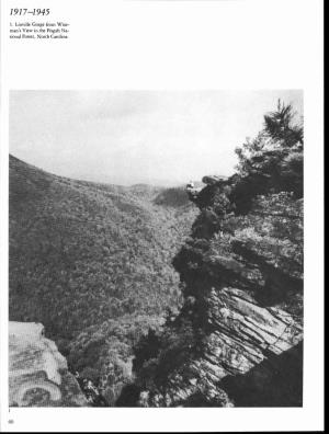 Man's View in the Pisgah Na- Tional Forest, North Carolina. Growing Up, 1917-1945