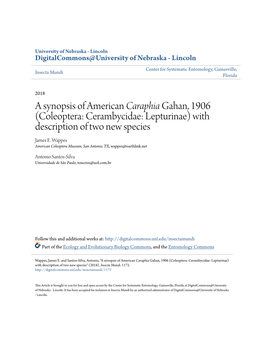 A Synopsis of American &lt;I&gt;Caraphia&lt;/I&gt; Gahan, 1906