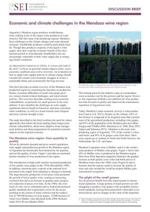 Economic and Climate Challenges in the Mendoza Wine Region