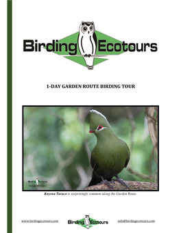 1-Day Garden Route Birding Tour