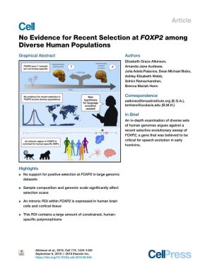 No Evidence for Recent Selection at FOXP2 Among Diverse Human Populations