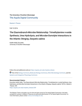 Trimethylamine N-Oxide Synthesis, Urea Hydrolysis, and Microbe-Osmolyte Interactions in the Atlantic Stingray, Dasyatis Sabina
