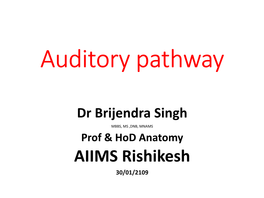 Auditory Pathway