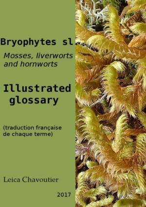 Bryophytes Sl. : Mosses, Liverworts and Hornworts. Illustrated Glossary