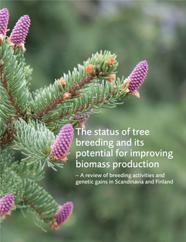 The Status of Tree Breeding and Its Potential for Improving Biomass Production – a Review of Breeding Activities and Genetic Gains in Scandinavia and Finland