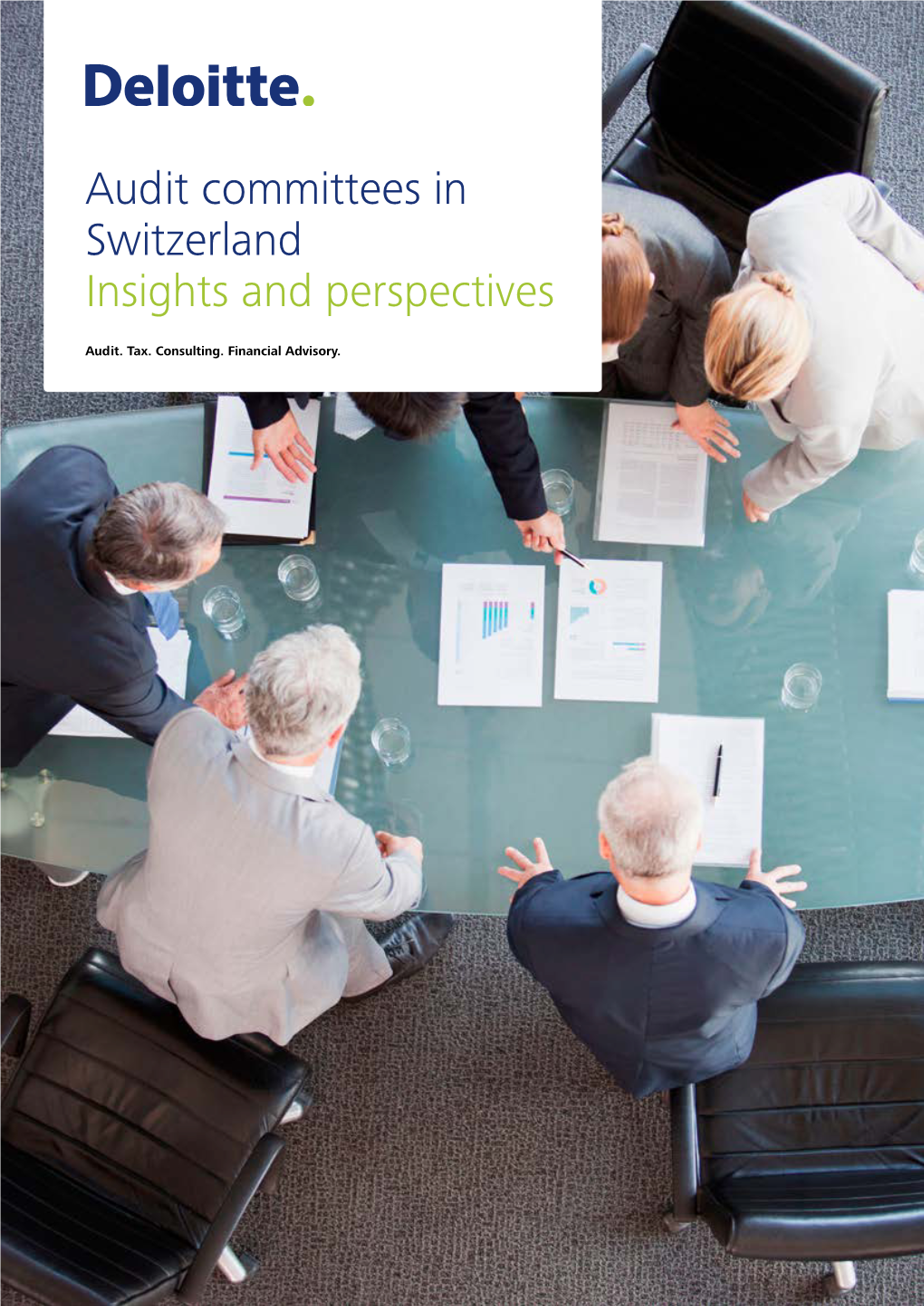 Audit Committees in Switzerland Download