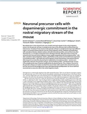 Neuronal Precursor Cells with Dopaminergic Commitment in The