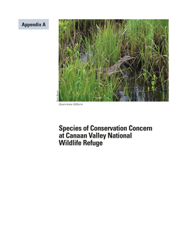 Species of Conservation Concern at Canaan Valley National Wildlife Refuge Species of Conservation Concern at Canaan Valley National Wildlife Refuge