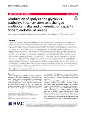 Modulation of Lipolysis and Glycolysis Pathways in Cancer Stem Cells Changed Multipotentiality and Differentiation Capacity Towa