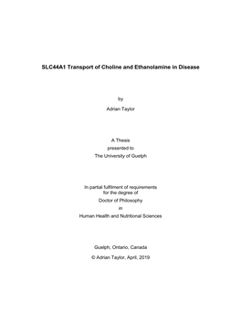 SLC44A1 Transport of Choline and Ethanolamine in Disease