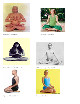 Yoga Asana Pictures