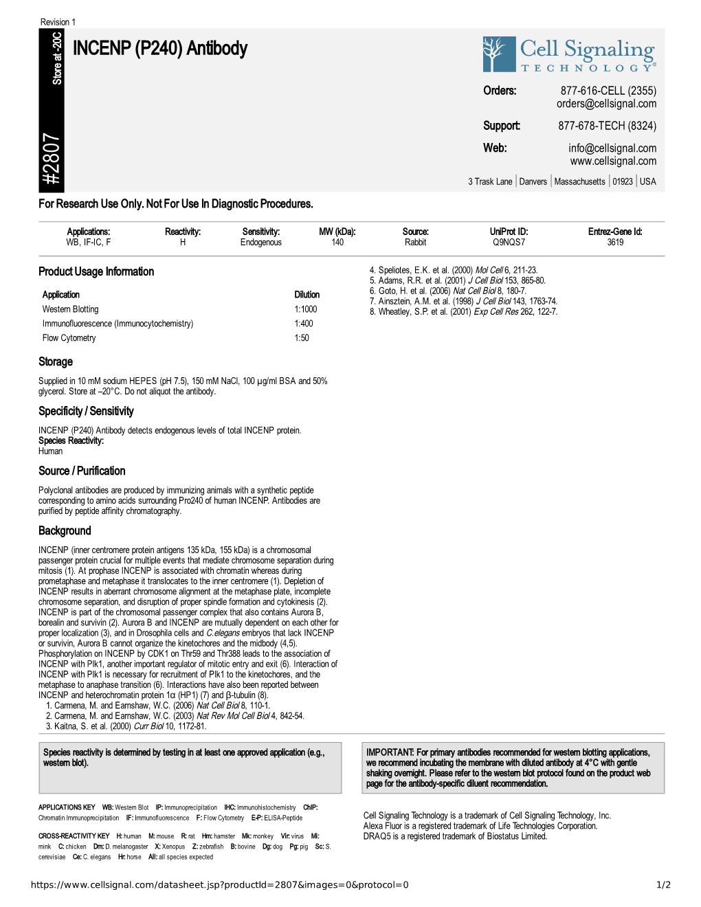 INCENP (P240) Antibody A