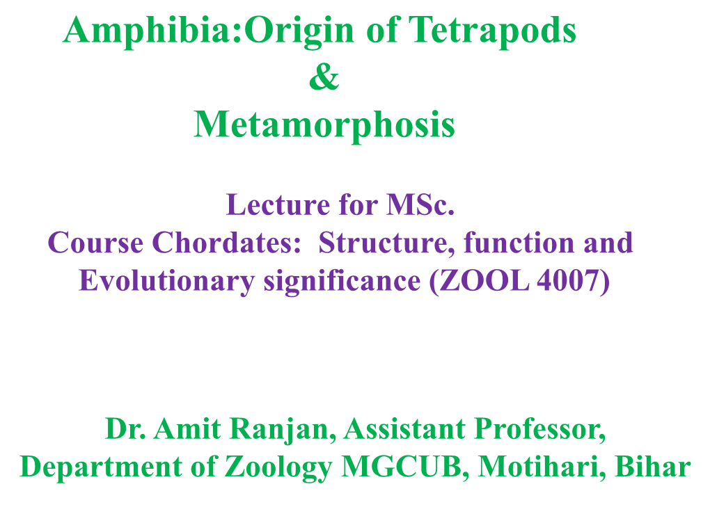 Amphibia:Origin of Tetrapods & Metamorphosis by Dr. Amit Ranjan